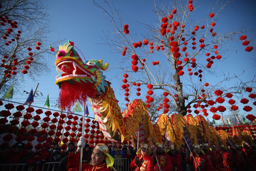 Chinese new year dragon