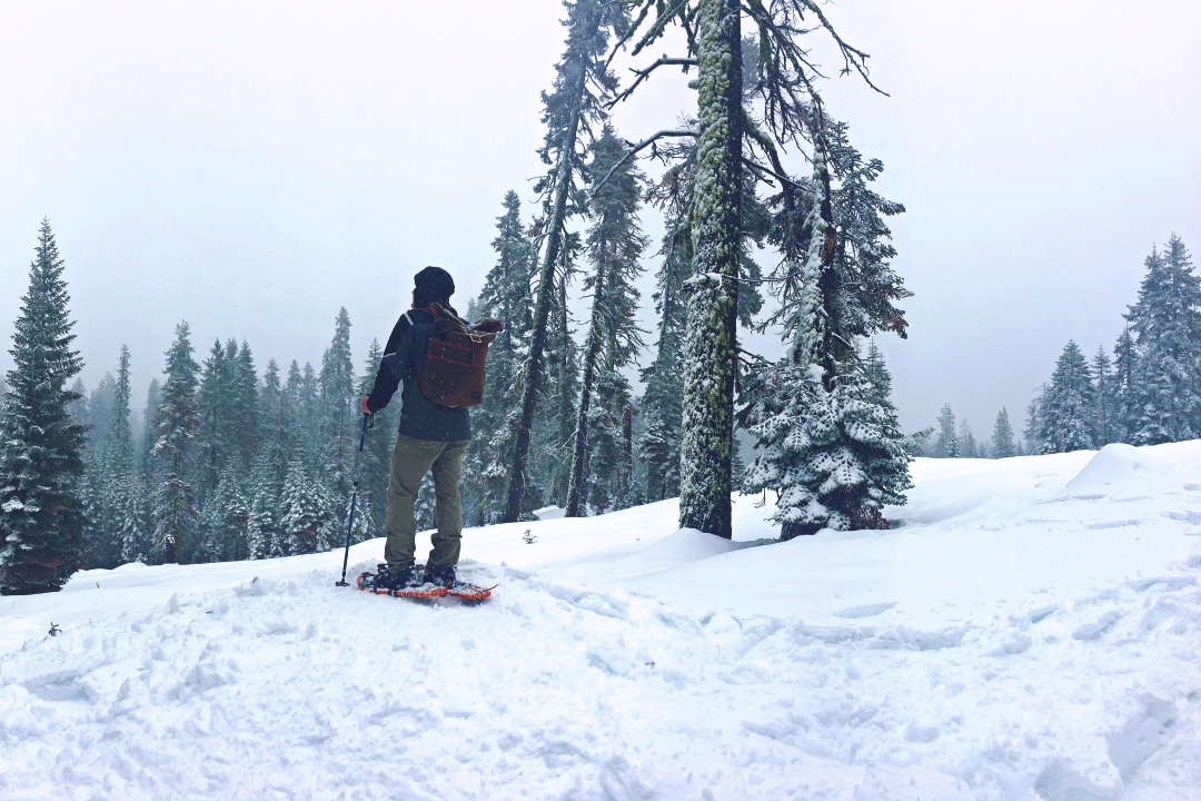 man snow shoeing in yosemite national park